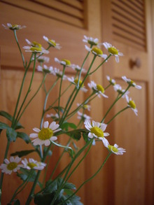 革小物
