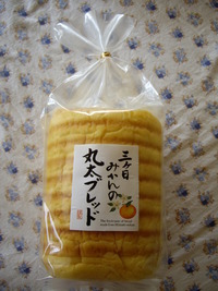 夏が終わる 2009/08/31 22:11:11