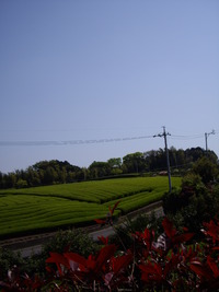 今年のＧＷ　東へ 2010/05/06 23:58:16