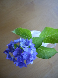 お渡しできました。 2010/06/30 22:01:37