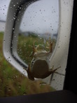 7月の日々