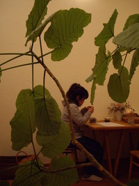 １２月も楽しく♪ 2010/12/28 18:45:28