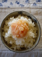 新年