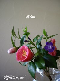 ありがとう。 2011/04/30 00:22:15