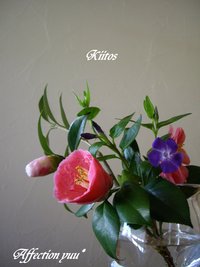 ありがとう。
