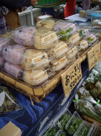 のんびりＧＷ 2011/05/08 16:31:23