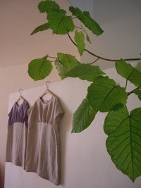お洋服　♪ 2012/06/13 11:46:03