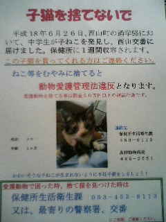 ☆　里親探し　☆