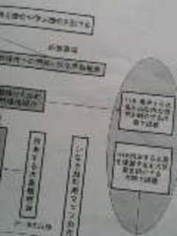 たねからみのり