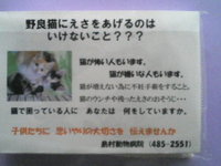 啓発ティッシュ