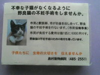 啓発ティッシュ