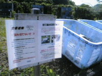 子猫遺棄