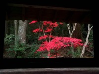 錦秋の方広寺