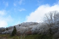 愛知県のたか～～いところ