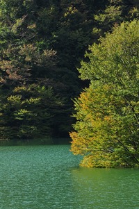 みどり湖にて（感慨深い風景）