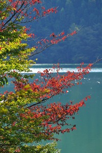 みどり湖にて（感慨深い風景）