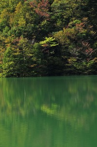 みどり湖にて（感慨深い風景）