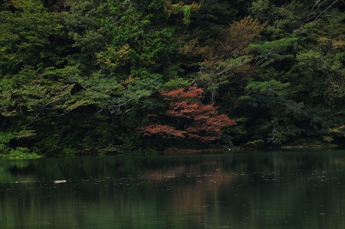 みどり湖にて（感慨深い風景）