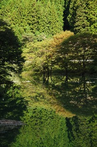 みどり湖にて（感慨深い風景）