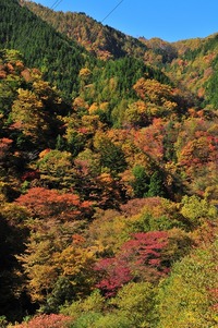 平谷の紅葉