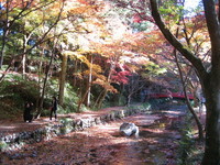 小国神社 2006/11/30 19:06:52