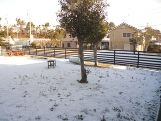 雪！！