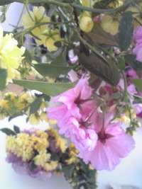 お花が… 2011/04/27 15:39:17