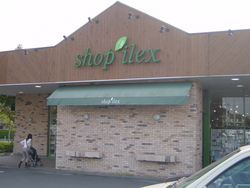 アイレクス☆