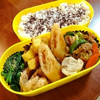 お弁当～ 2016/11/01 21:55:55