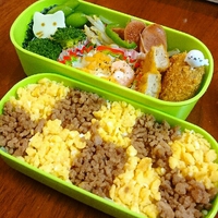 お弁当～ 2016/11/19 07:48:37