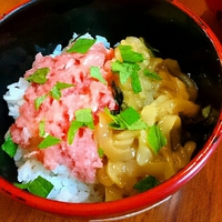 ねぎとろイカ丼 2016/10/25 20:47:36