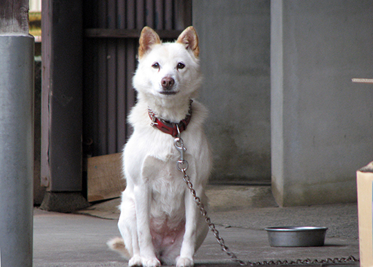 ピータンパパさんの秘密基地(^w^)