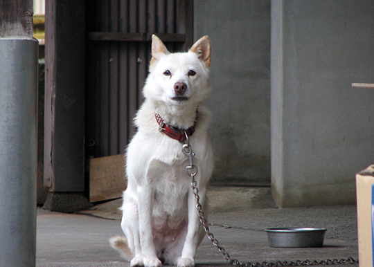 ピータンパパさんの秘密基地(^w^)