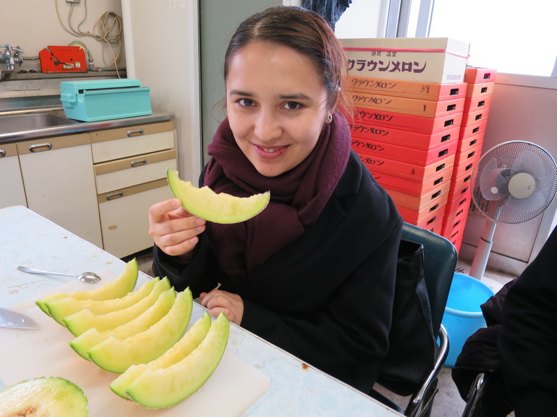 Exquisite Taste of Crown Melon