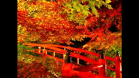 秋冬は、保湿！！と日焼も注意でお願いします(^o^)／ 2014/11/19 12:46:33