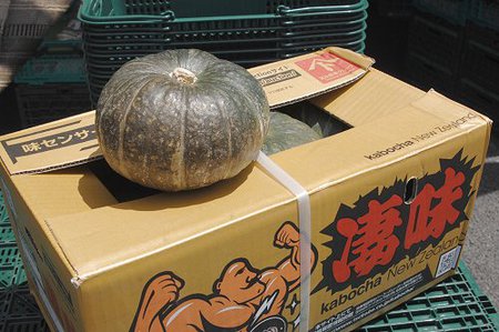 カボチャはKABOCHA ニュージーランドから凄味がやってきた