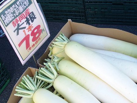 年内休みなし！ビアンカン店頭地産野菜まつり、和合白菜・静岡大根・海老芋