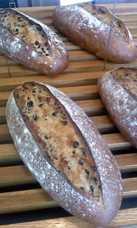 9月8日の記事 2013/09/08 14:14:06
