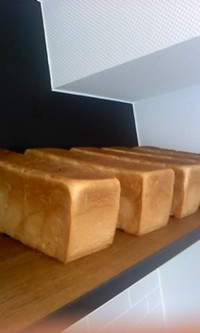10月5日の記事 2013/10/05 10:51:00