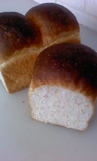 6月3日の記事 2014/06/03 13:13:48