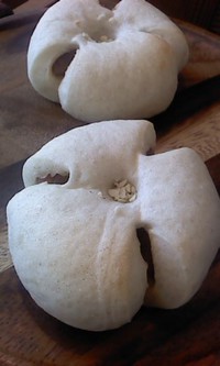 11月8日の記事 2014/11/08 13:28:55