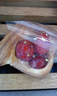 1月24日の記事 2015/01/24 13:26:45