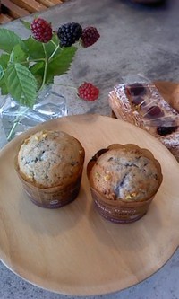 6月12日の記事 2017/06/12 13:54:52