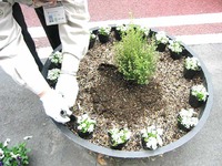 第2回鍛冶町通り花飾り活動
