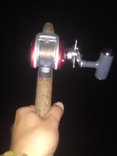 夜釣りに来ました