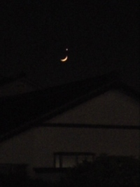 UFO？ 2010/05/16 20:24:36