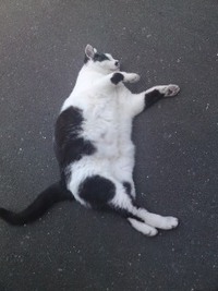 ミーミ 2010/05/17 21:04:46