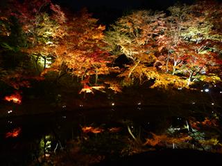 京都の紅葉