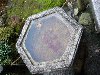 京都の紅葉