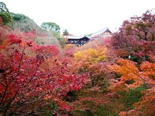 東福寺